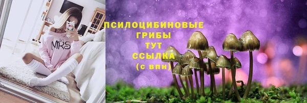 герыч Алзамай