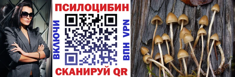 Псилоцибиновые грибы Psilocybe купить наркотик Лодейное Поле